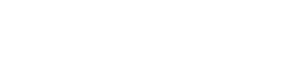 株式会社のらねこ